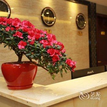 重庆顺钛酒店酒店提供图片