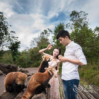 普洱开元·小熊猫庄园酒店酒店提供图片