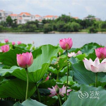 江门鹤山碧桂园凤凰酒店酒店提供图片