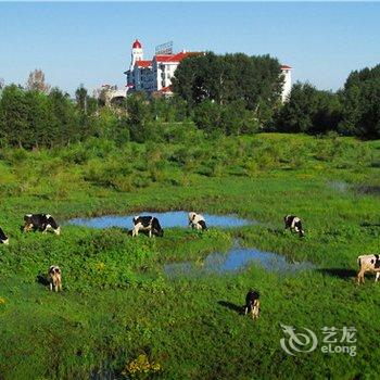 乌兰浩特碧桂园凤凰酒店酒店提供图片