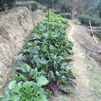 衡阳南岳山香缘农庄酒店提供图片