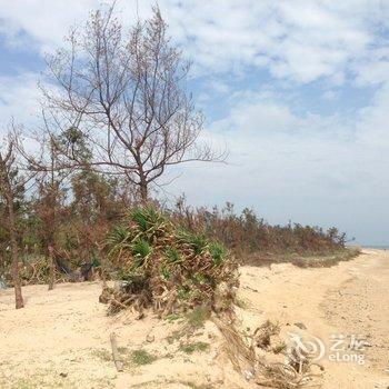 北海涠洲岛滨海海景木屋酒店提供图片