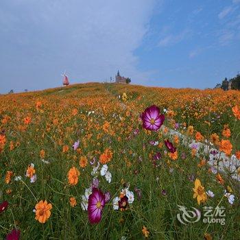 惠州龙门尚天然花海温泉小镇酒店提供图片