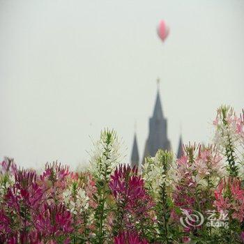 惠州龙门尚天然花海温泉小镇酒店提供图片