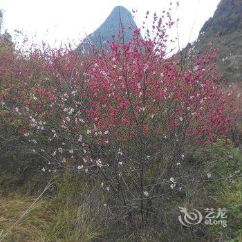 贺州黄姚听涛客栈酒店提供图片