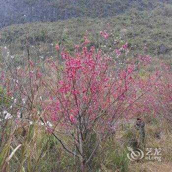 贺州黄姚听涛客栈酒店提供图片