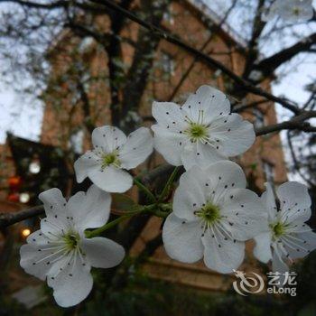 久居元阳客栈酒店提供图片