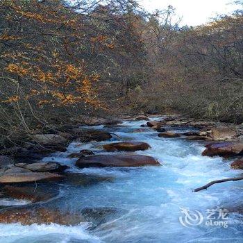 阿坝理县甲蕃林卡度假酒店酒店提供图片