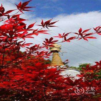 阿坝理县甲蕃林卡度假酒店酒店提供图片