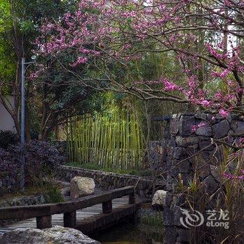 青城山青城书房生态度假酒店酒店提供图片