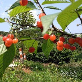 杭州千岛湖高垄生态农庄酒店提供图片