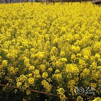 海螺沟遇见(908)客栈酒店提供图片