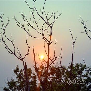 北海涠洲岛盛夏光年客栈酒店提供图片