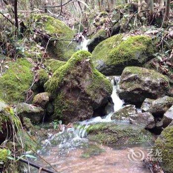 杭州千岛湖高垄生态农庄酒店提供图片