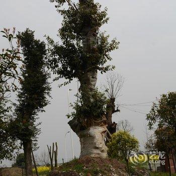 都江堰青城山明塬山庄酒店提供图片