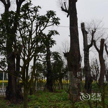 都江堰青城山明塬山庄酒店提供图片