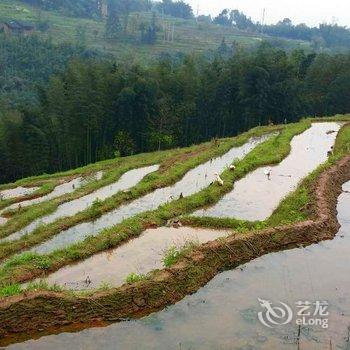 长宁蜀南竹海双凤休闲农庄酒店提供图片