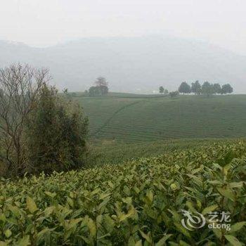 安吉芝林茶苑酒店提供图片