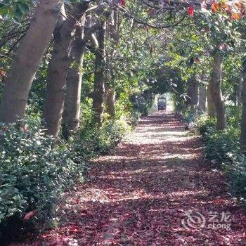 安吉芝林茶苑酒店提供图片