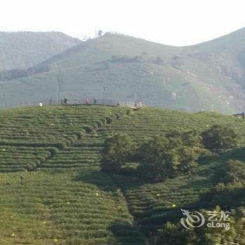 安吉芝林茶苑酒店提供图片