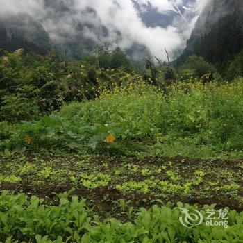 雨崩村雪龙客栈酒店提供图片