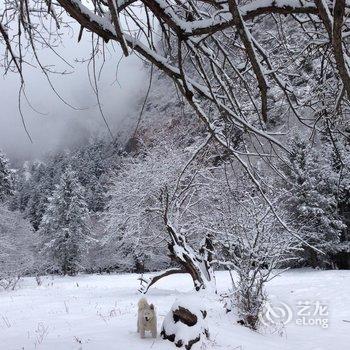 雨崩村雪龙客栈酒店提供图片