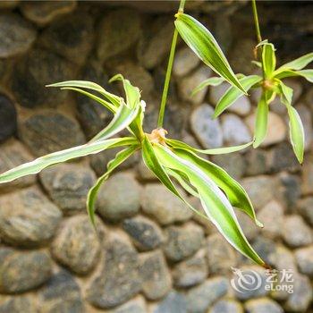 大理千百度精品客栈酒店提供图片