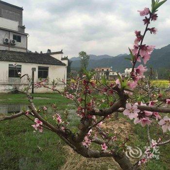 协里山庄(黄山宏村)酒店提供图片