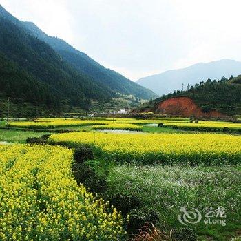 婺源康悦大酒店酒店提供图片