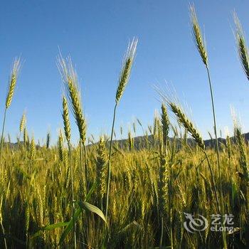 富蕴可可托海宾馆酒店提供图片