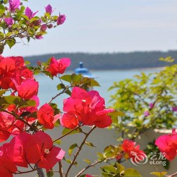 北海涠洲岛波罗的海私人海景客栈酒店提供图片