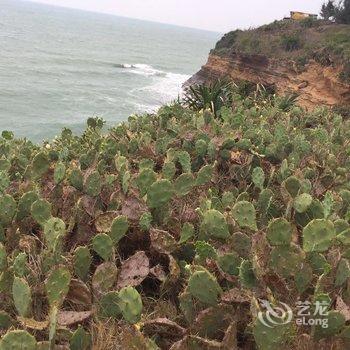 北海涠洲岛海岛明珠酒店酒店提供图片