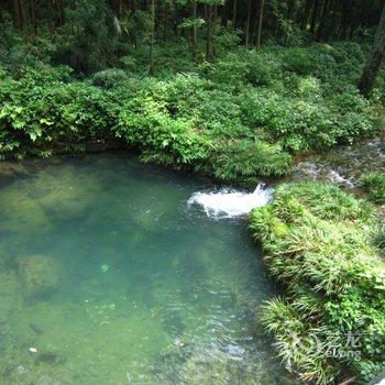 张家界森林公园玉平客栈酒店提供图片