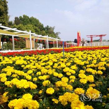 广州华工大学城中心酒店酒店提供图片