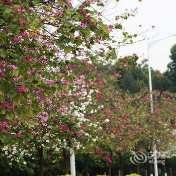 广州华工大学城中心酒店酒店提供图片