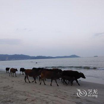 惠东一粒沙海寓(万科双月湾店)酒店提供图片