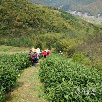 德清莫干山施华山庄酒店提供图片
