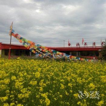 青海湖阳光青年旅舍酒店提供图片