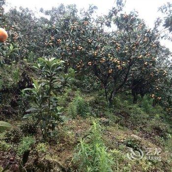 歙县深渡千岛渔港农庄酒店提供图片