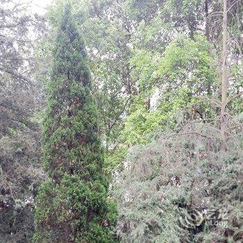 南充市南部县升钟湖大酒店酒店提供图片