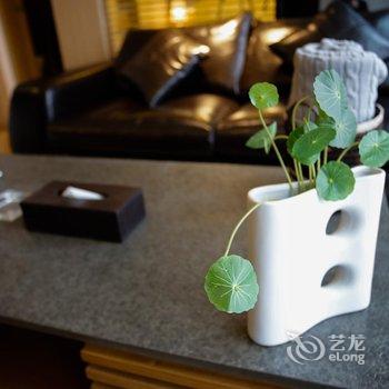 成都盛铂仕丹服务公寓(春熙太古里店)酒店提供图片