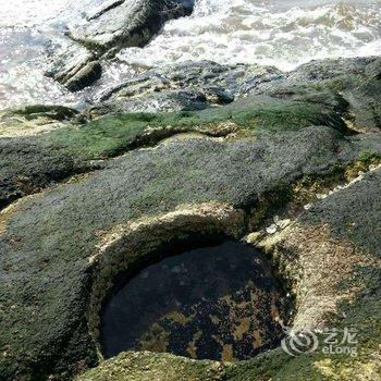 北戴河素兰小院酒店提供图片
