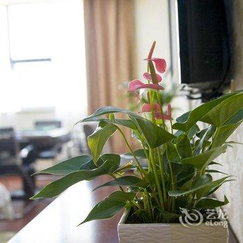 娄底海天湘中酒店酒店提供图片