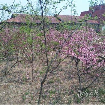 秦皇岛黄金海岸碧水湾度假村酒店提供图片
