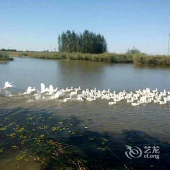 安新县白洋淀月亮湾度假村酒店提供图片