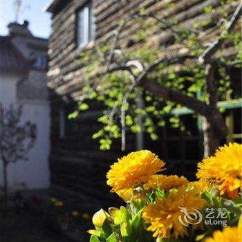 拉萨娑娜姆国际青年旅舍酒店提供图片