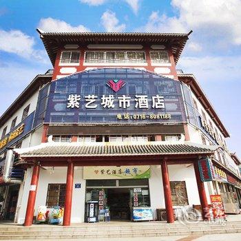 荆州紫艺城市酒店酒店提供图片