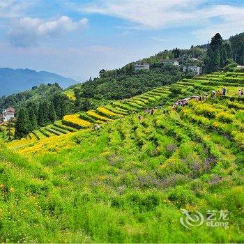 永泰云顶蚂蚁窝蛋居酒店酒店提供图片