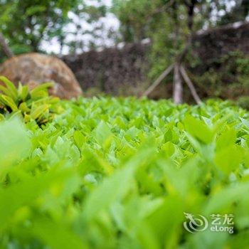 海南熙康云舍酒店-海南首家城堡酒店酒店提供图片