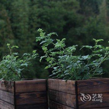 腾冲和顺松风来客栈酒店提供图片